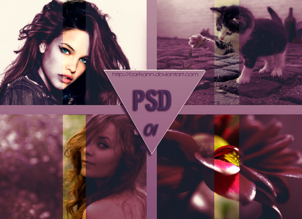 PSD 01 by CarKann on DeviantArt