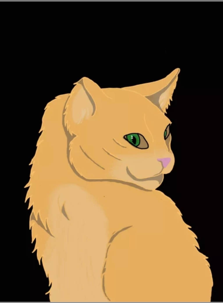 Cat drawing by foreverangel909 on DeviantArt