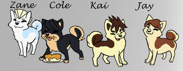 Ninjago Shibas