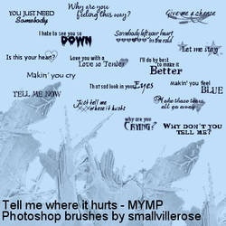 Tell me where it hurts lyrics