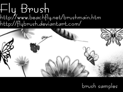 beachfly.net_flybrush samples