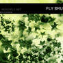 butterfly-stock_brush set 149