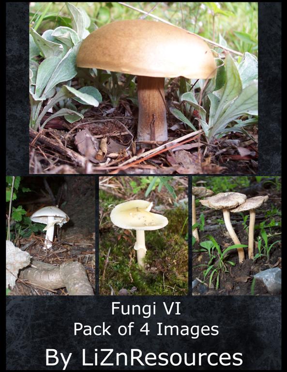 Fungi Pack VI