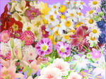 bouquets of flowers PNG