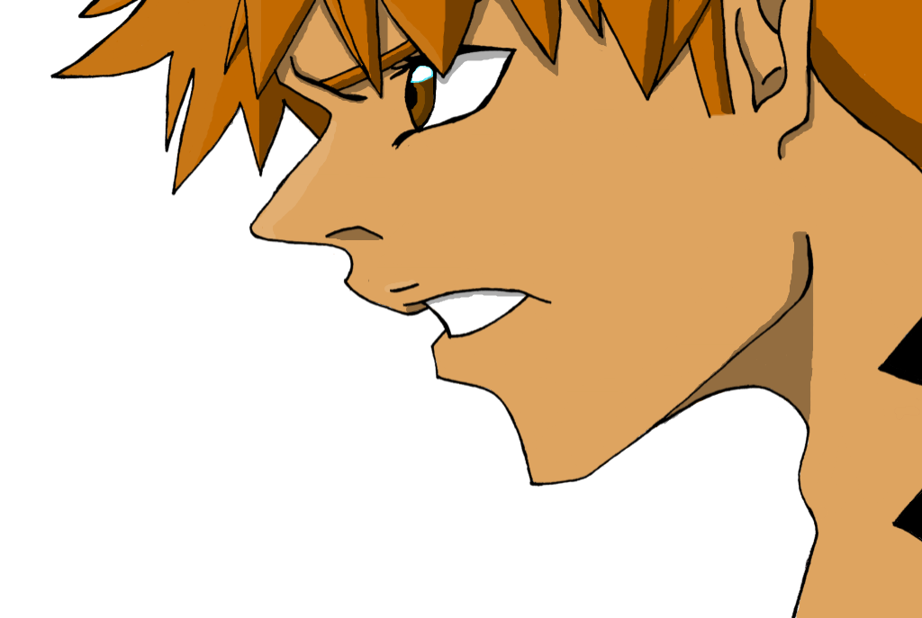 To Protect~ Kurosaki ichigo