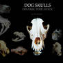 Dog skulls stock