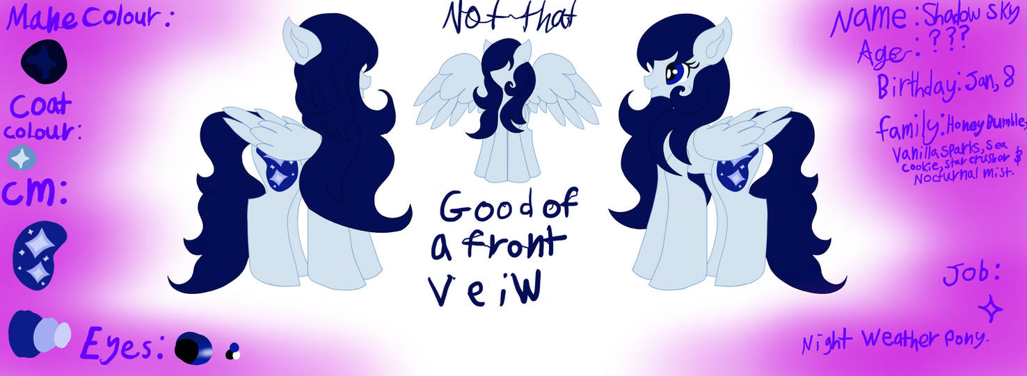 Shadow Sky Reference sheet by ShadowSwirl on DeviantArt
