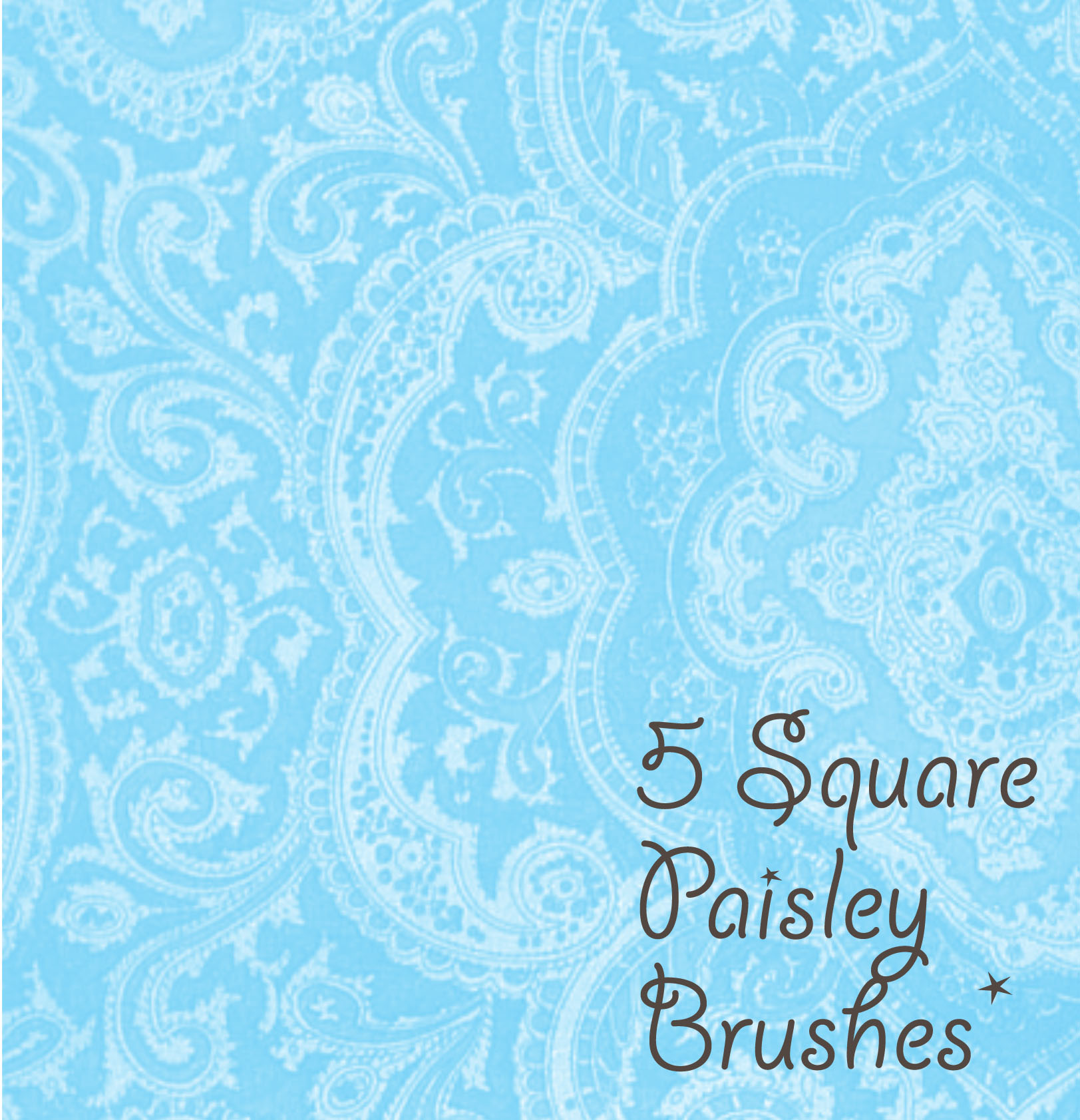 Paisley Square Brushes