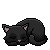 Sleeping black cat avatar