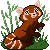 Red Panda avatar