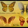 psd autumn butterfly wings set