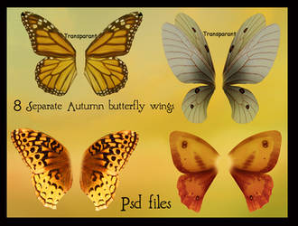 psd autumn butterfly wings set