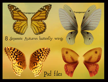 psd autumn butterfly wings set