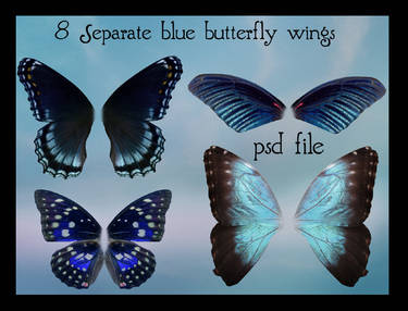 psd blue butterfly wings set