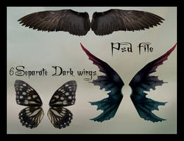 psd dark wings set