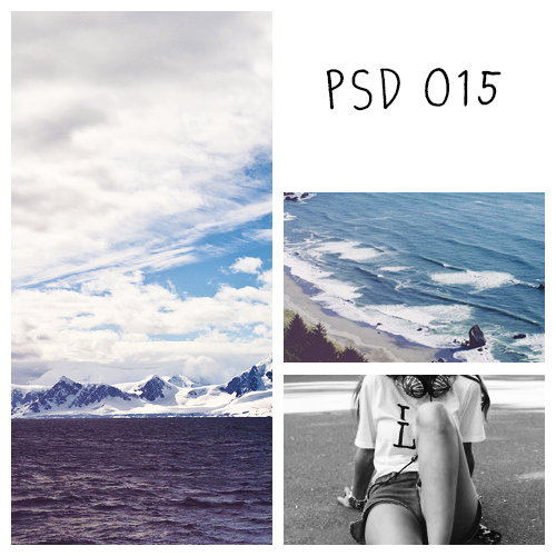 Psd 015