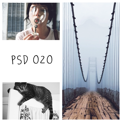 Psd 020