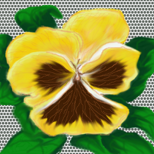 YELLOW PANSY