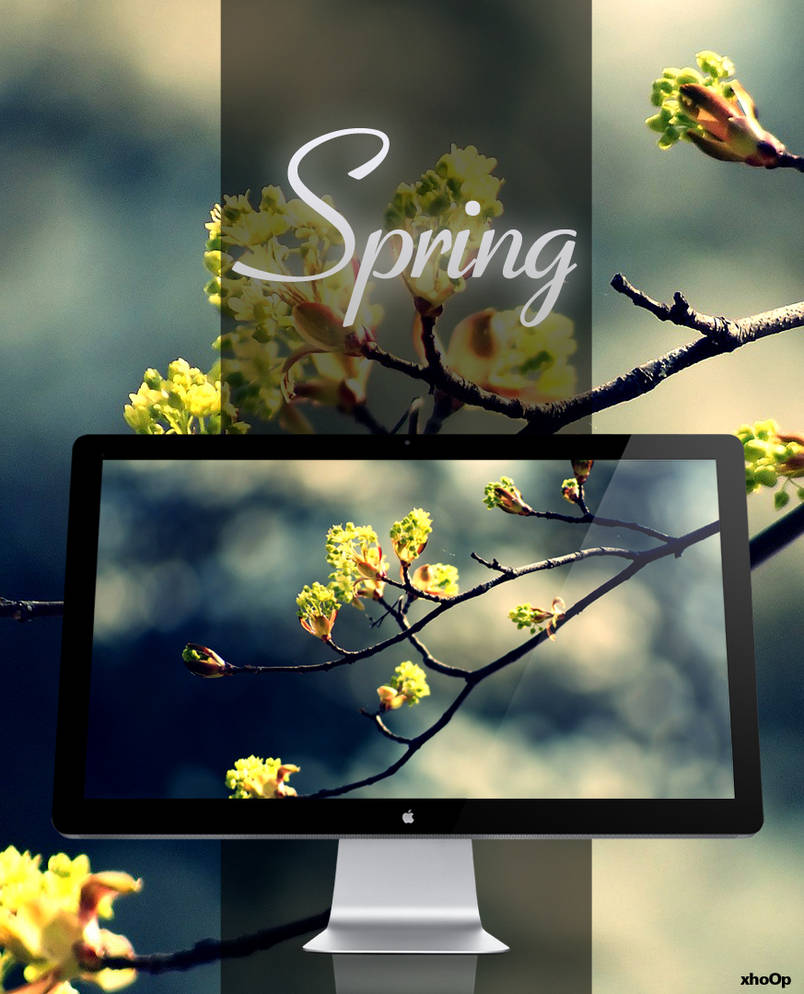 Spring wallpaper by xhoOp