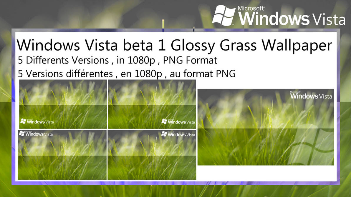 Windows Vista beta 1 Glossy Grass Wallpaper Pack by TeknoRider on DeviantArt