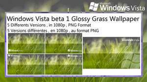 Windows Vista beta 1 Glossy Grass Wallpaper Pack