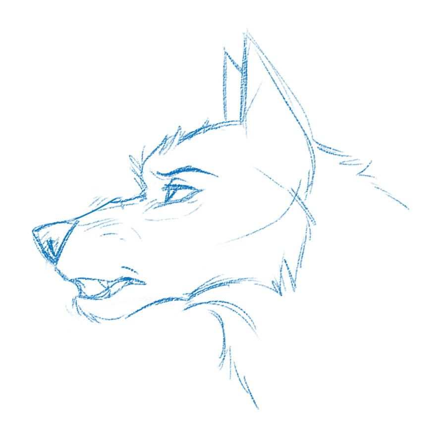 Wolf animated Practice by R-FakonWolf on DeviantArt
