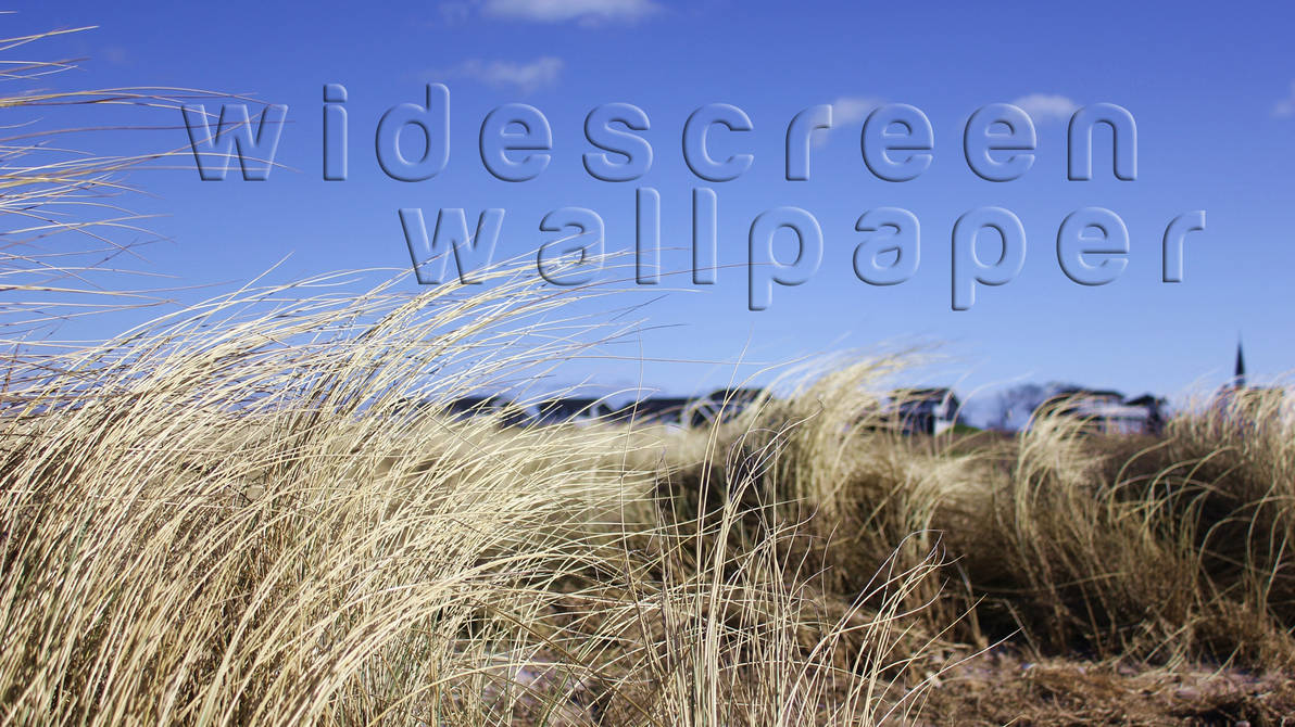 Beach In Denmark Wallpaper Hd By Getillusionized On Deviantart