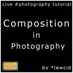 Live tutorial log: Composition