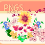Png pack1