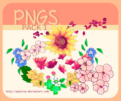 Png pack1