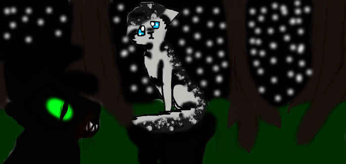 Ashfur and hollyleaf