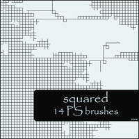 squared brushes
