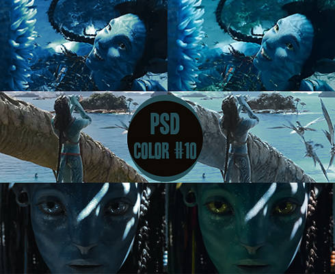 PSD Color #10