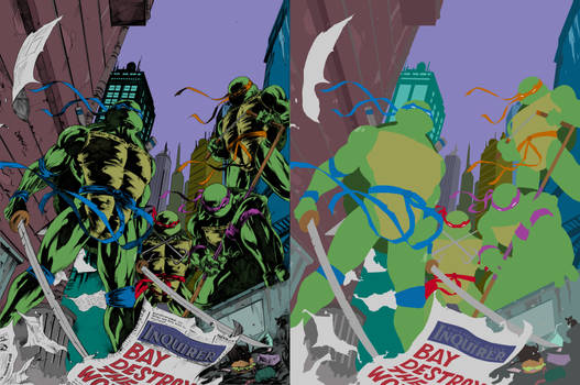 Tmnt Raw 01 flats