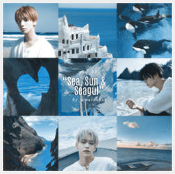 +psd coloring||Sun Sea and Seagull||05