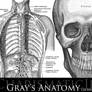 Gray's Anatomy