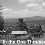 In the one thousand hills