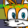 A Sonic And Tails Adventure