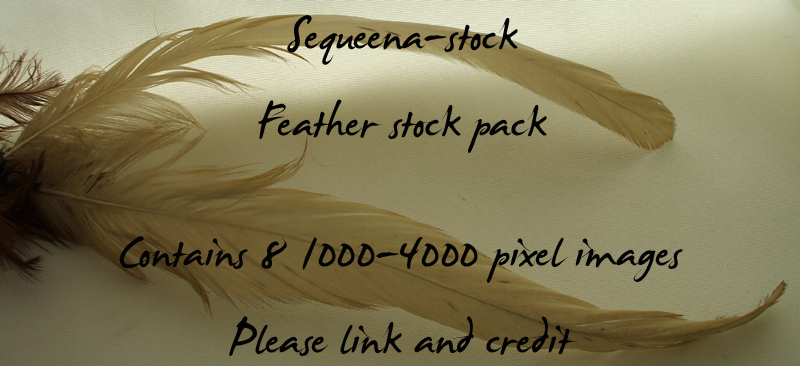 Feather Stock Pack