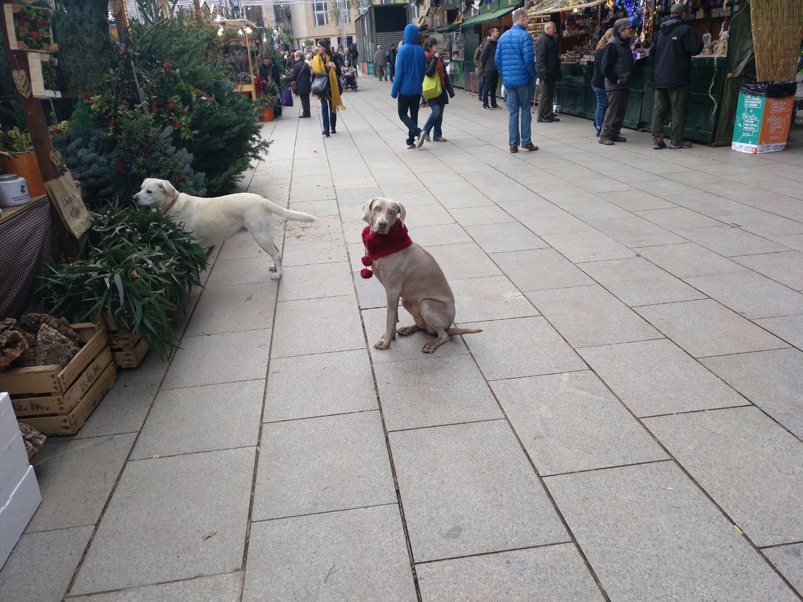 Christmas Barcelona (Spain) 2017