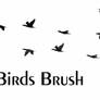 Birds Brush