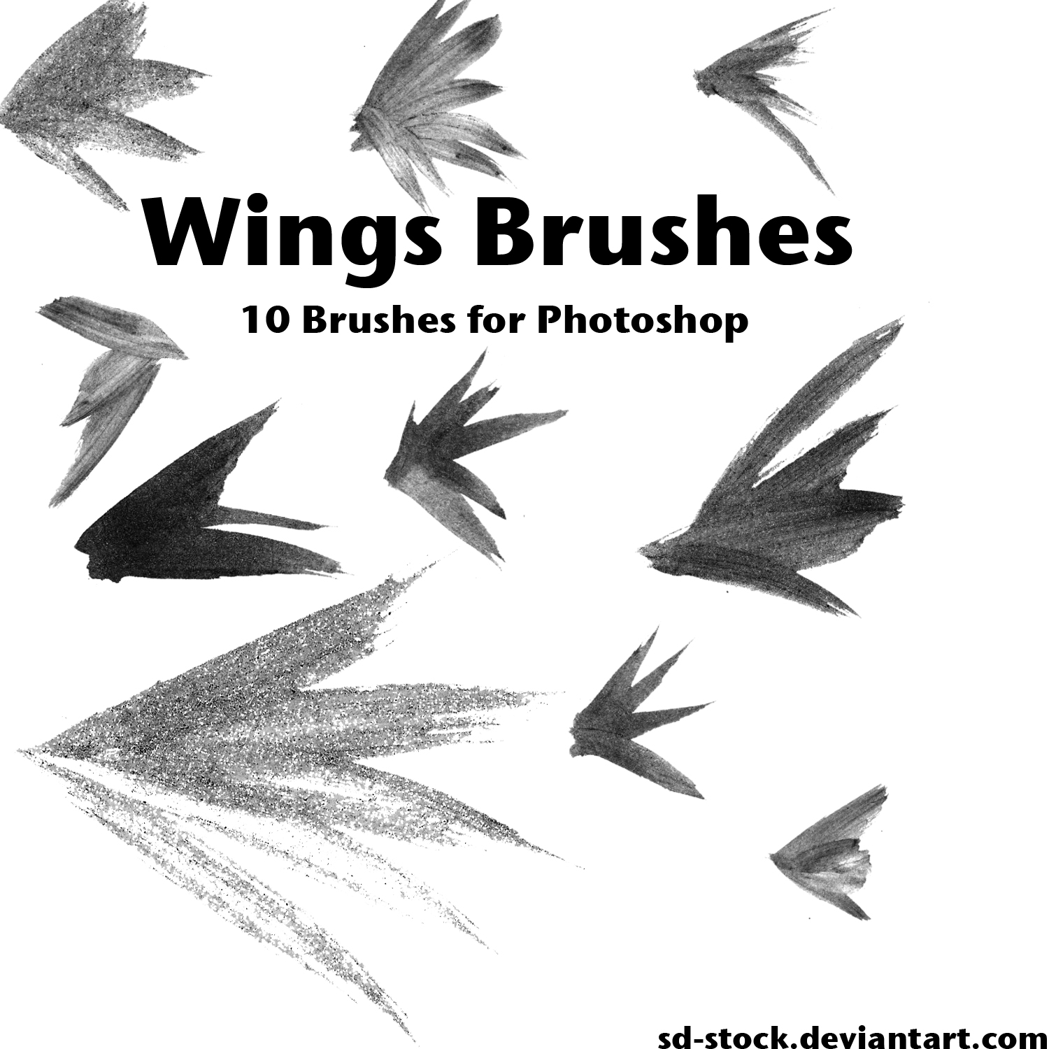 Wings Brushes 2