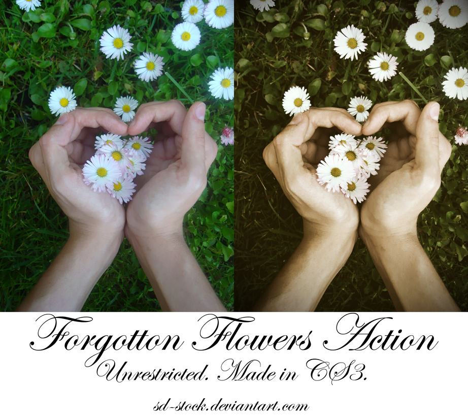 Forgotten Flowers Action by sd-stock