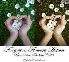 Forgotten Flowers Action