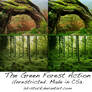 The Green Forest Action