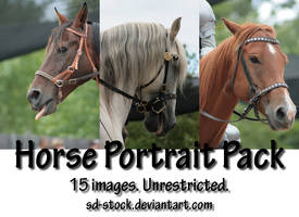 Horse Portrait Pack