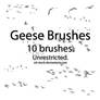 Geese Brushes