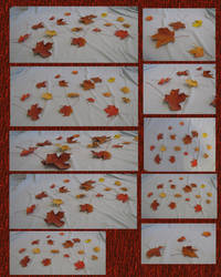 Autumn leaves