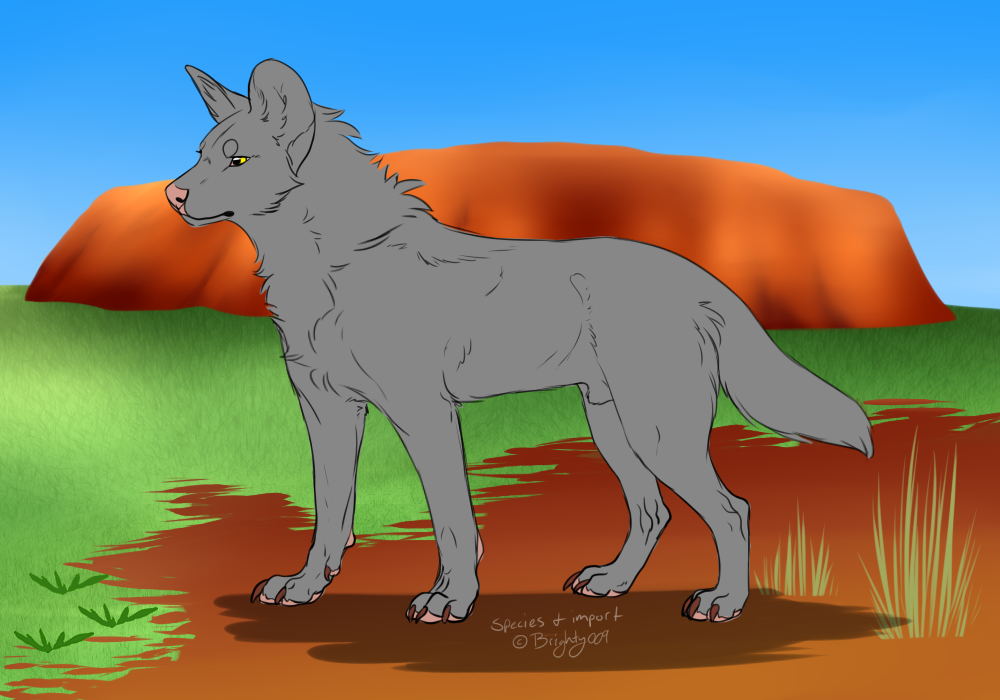 hairy mouth heeler cattle dogs