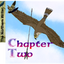 Birds of a Feather - Chapter 2 - Counter-attack